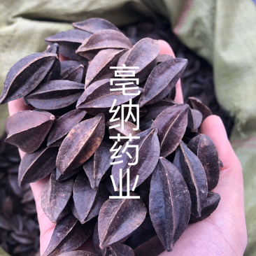 使君子中药材史君子四川五棱子1⃣️公斤起批