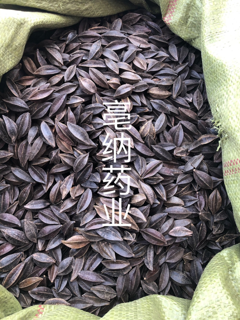 使君子中药材史君子四川五棱子1⃣️公斤起批