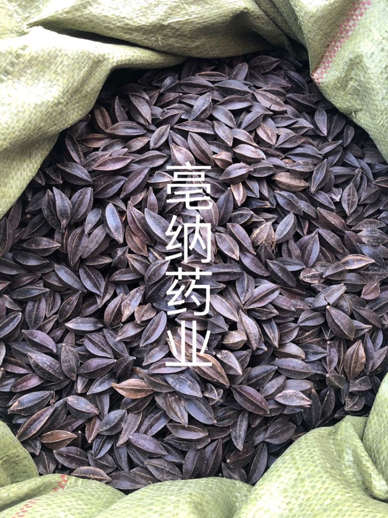 使君子中药材史君子四川五棱子1⃣️公斤起批