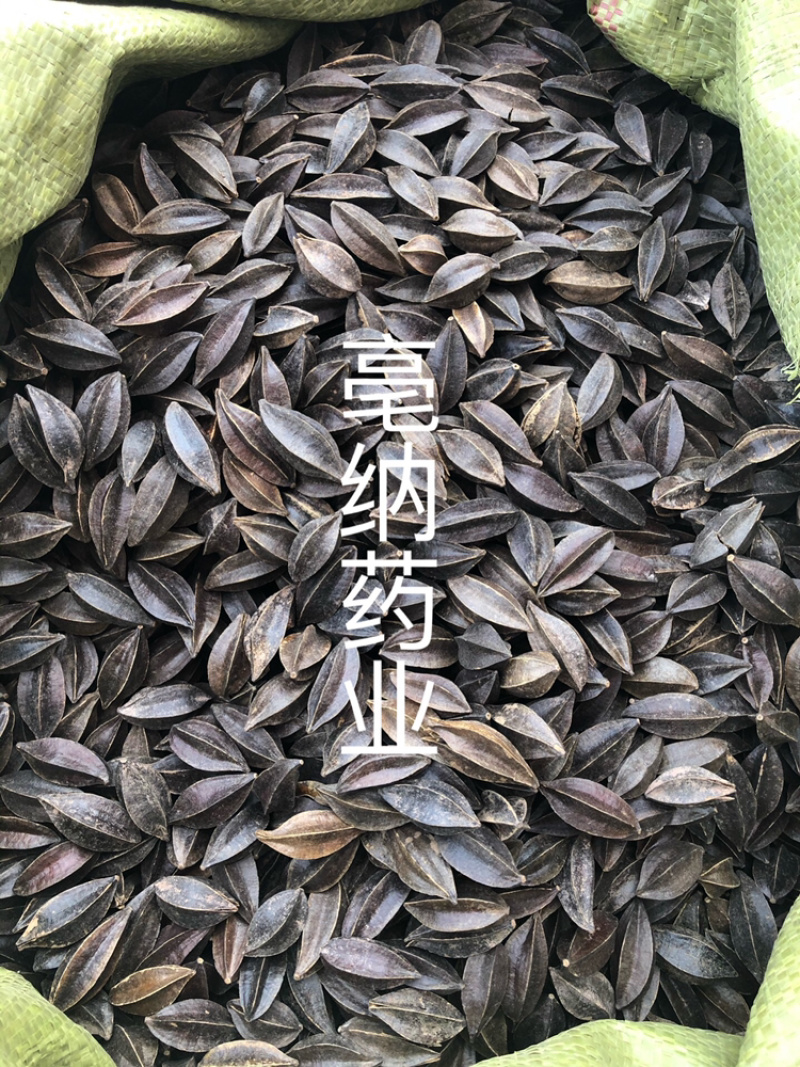 使君子中药材史君子四川五棱子1⃣️公斤起批