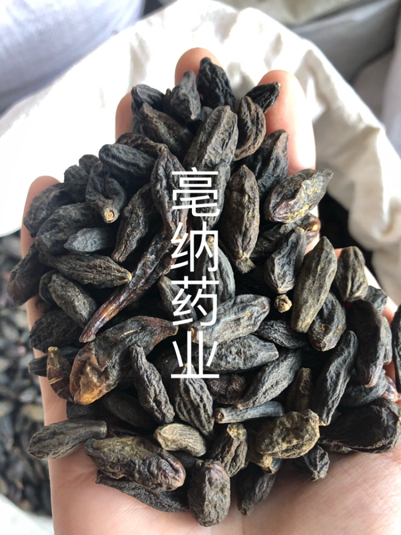 西青果藏青果中药材1⃣️公斤起批