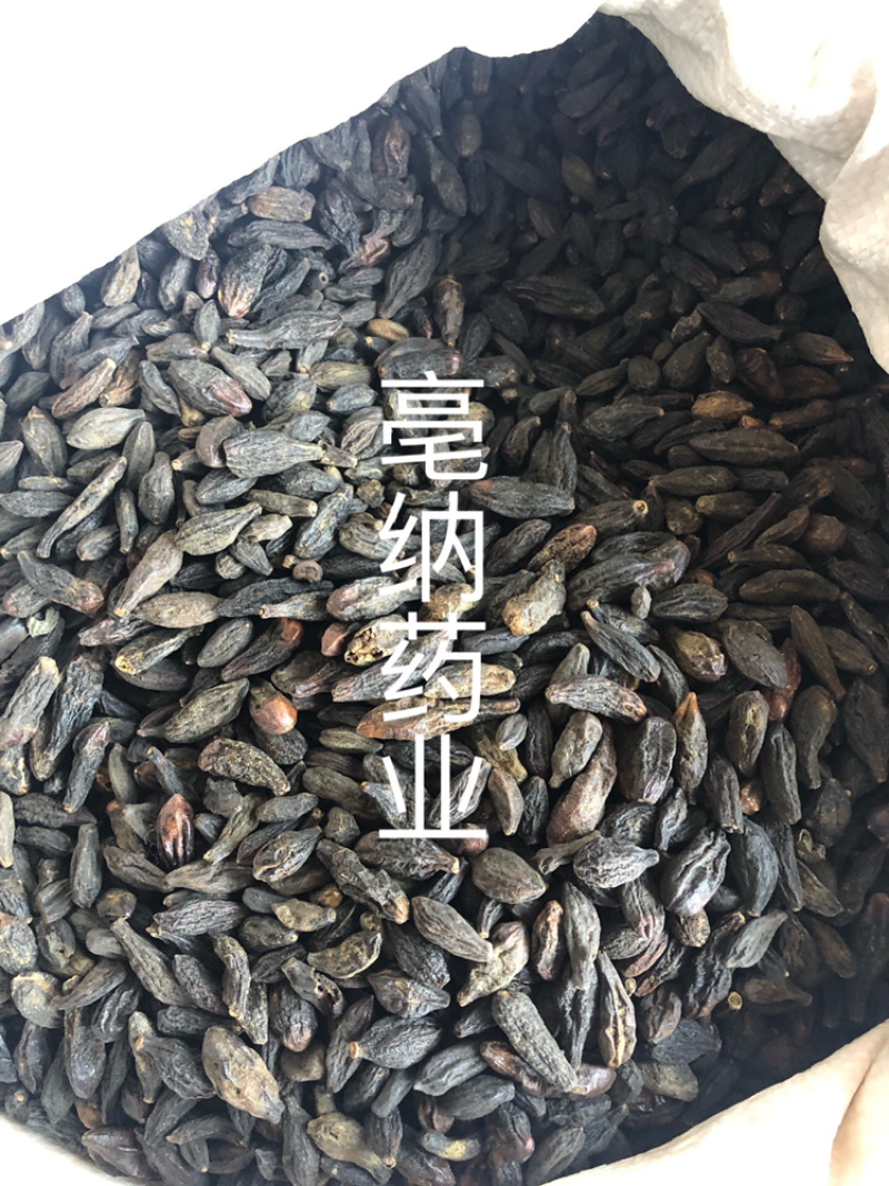 西青果藏青果中药材1⃣️公斤起批