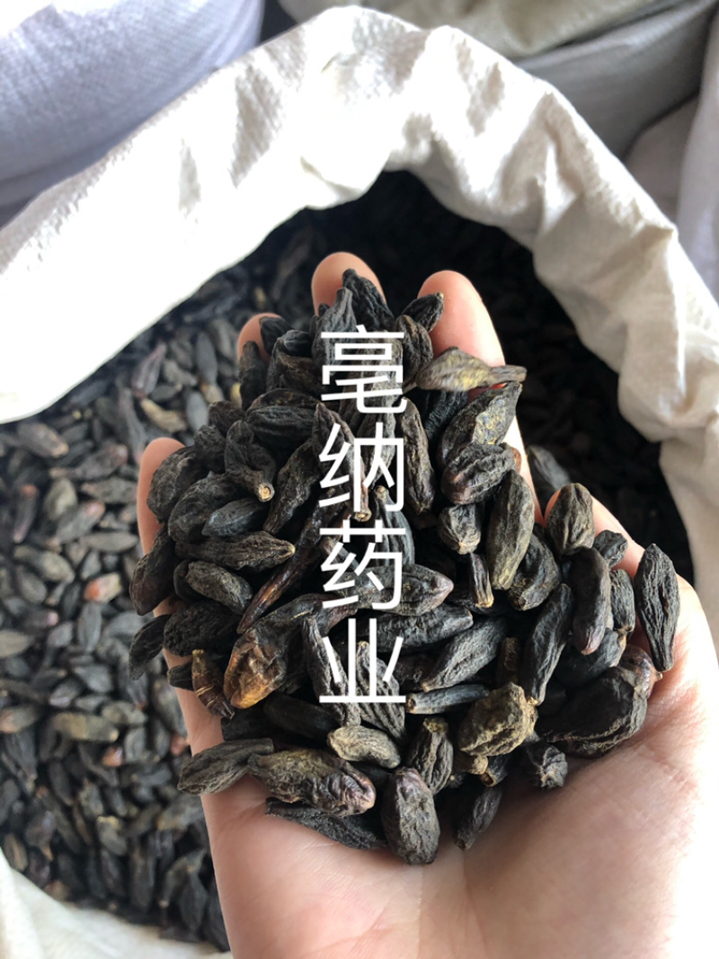 西青果藏青果中药材1⃣️公斤起批