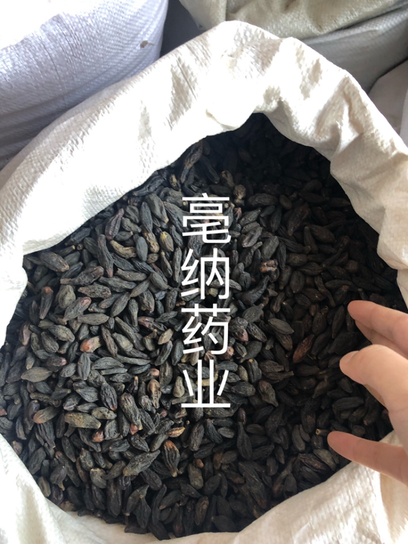西青果藏青果中药材1⃣️公斤起批