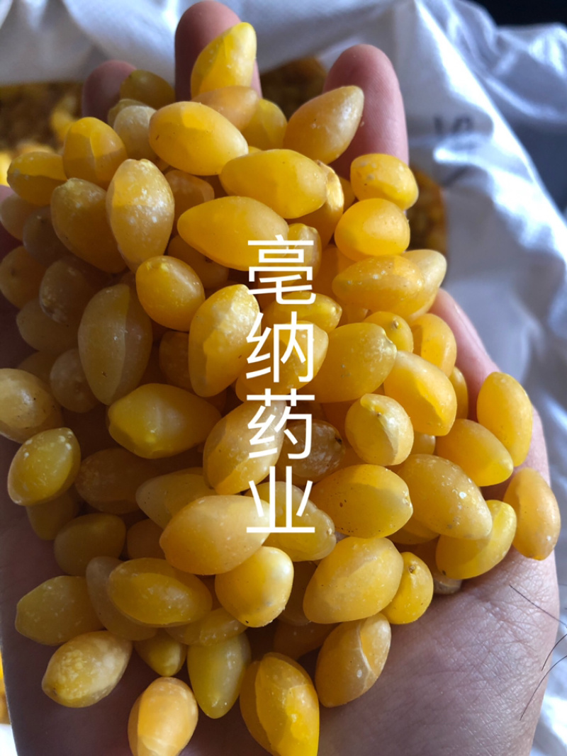 白果仁银杏仁去皮水煮白果仁药食同源1⃣️公斤起批