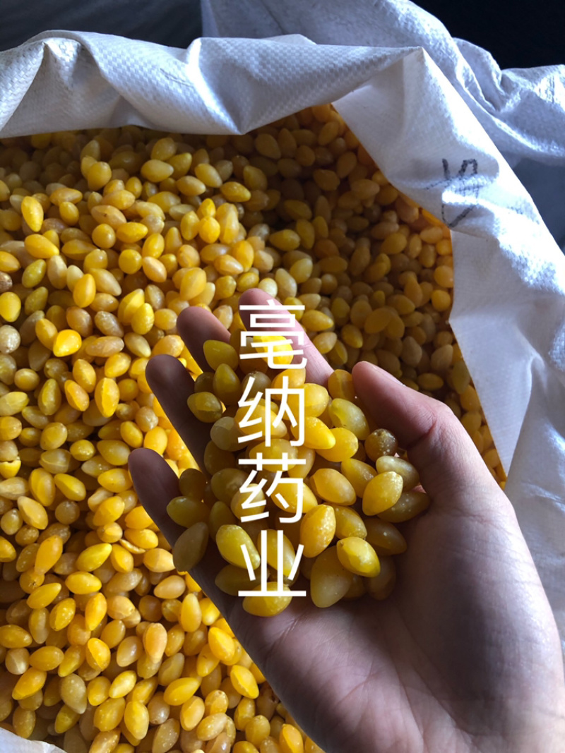 白果仁银杏仁去皮水煮白果仁药食同源1⃣️公斤起批