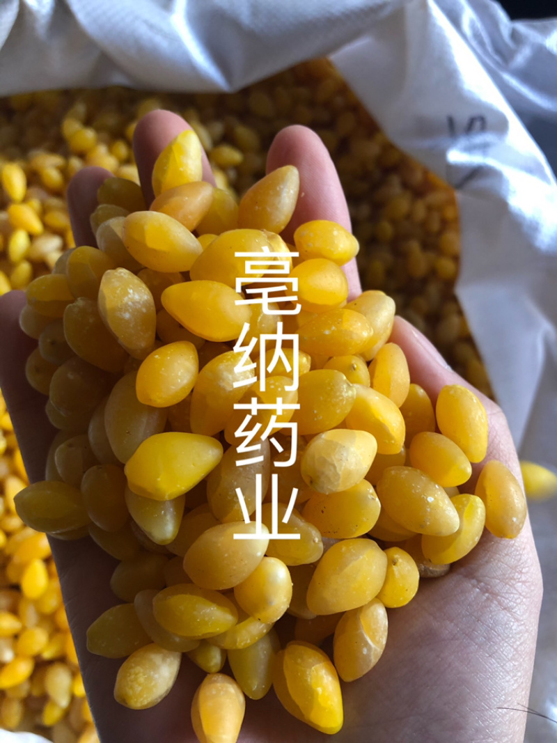 白果仁银杏仁去皮水煮白果仁药食同源1⃣️公斤起批