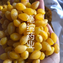 白果仁银杏仁去皮水煮白果仁药食同源1⃣️公斤起批