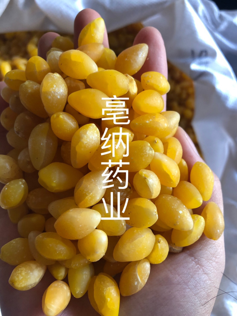 白果仁银杏仁去皮水煮白果仁药食同源1⃣️公斤起批