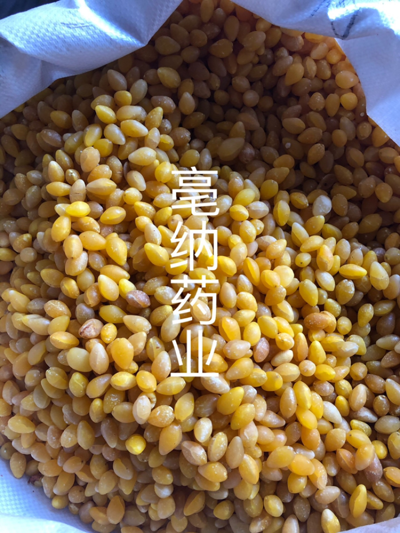 白果仁银杏仁去皮水煮白果仁药食同源1⃣️公斤起批