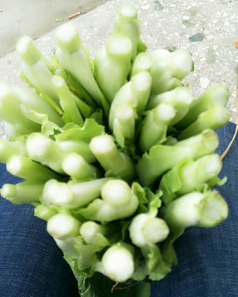 白菜心，白菜苔，独特气候，现已大量上市价格便宜