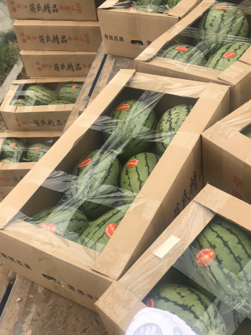 小糖丸西瓜全美2k电商货团购批发商超货源充足