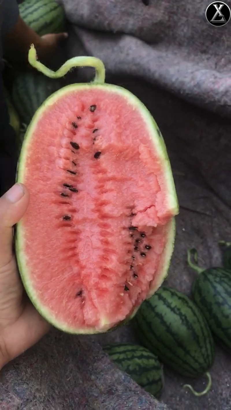 小糖丸西瓜全美2k电商货团购批发商超货源充足