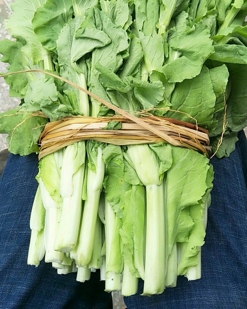 白菜心，白菜苔，独特气候，现已大量上市价格便宜