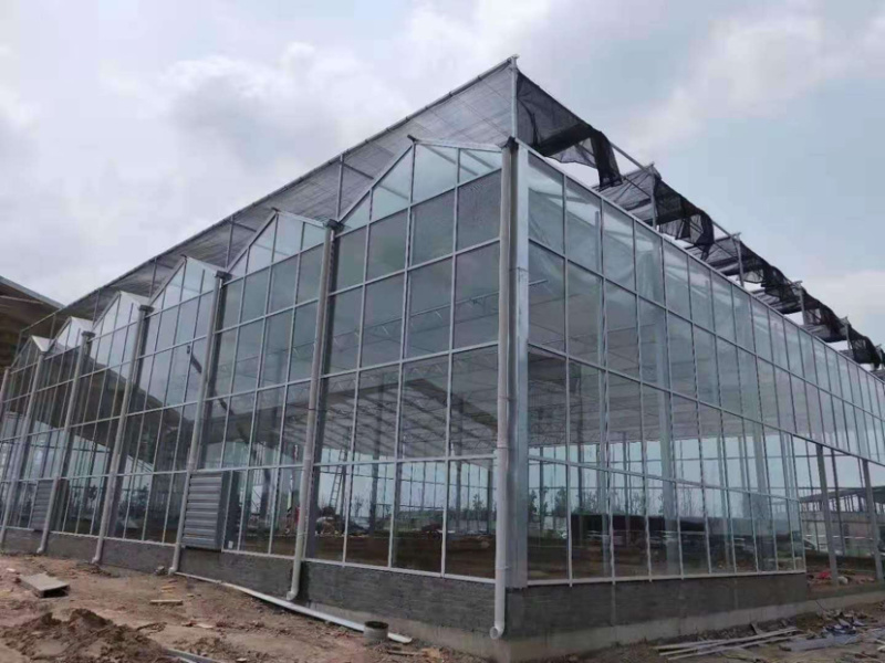 厂家直销设计制作各种种植棚，养殖棚温室大棚