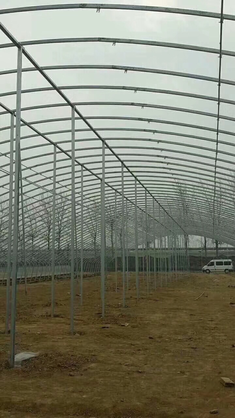 厂家直销设计制作各种种植棚，养殖棚温室大棚