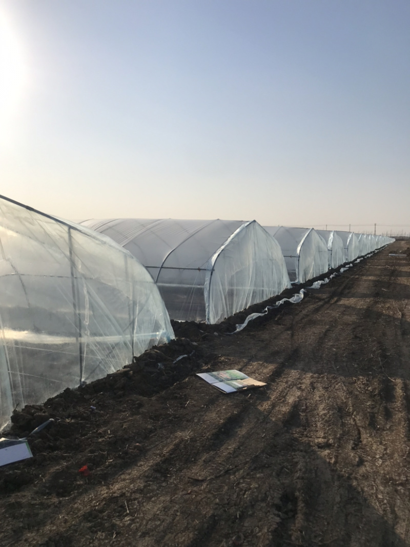 厂家直销设计制作各种种植棚，养殖棚温室大棚