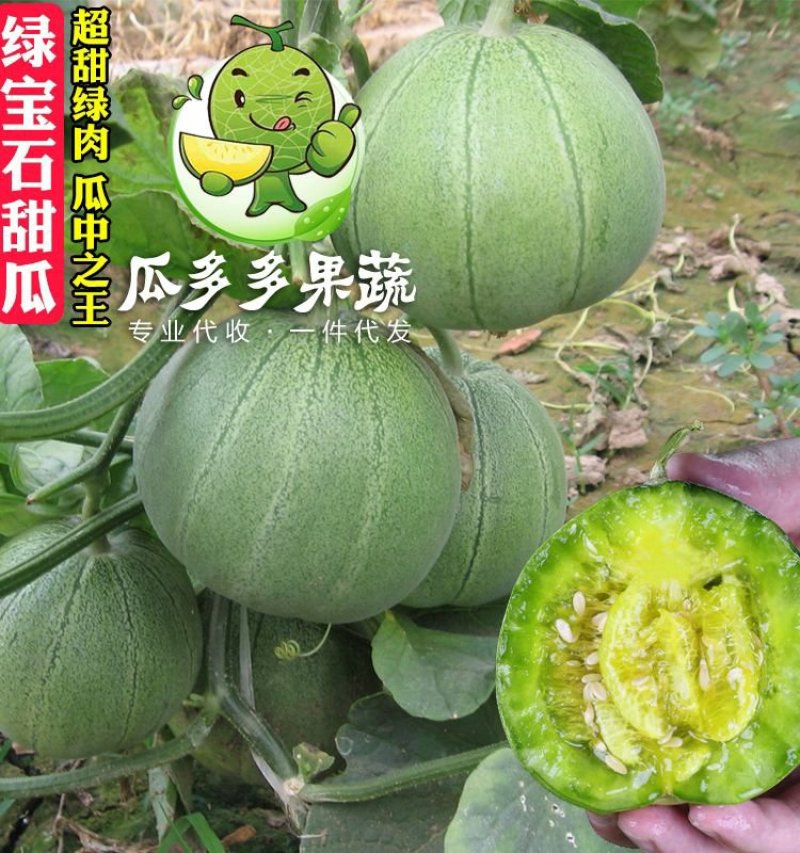 绿宝甜瓜香瓜实力代办对接各大电商平台信誉代收