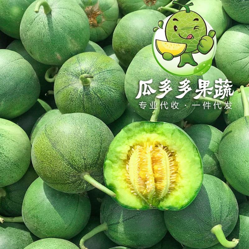绿宝甜瓜香瓜实力代办对接各大电商平台信誉代收