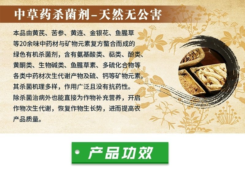 芒果角斑病柑橘溃疡病桃树穿孔病炭疽病疮痂病靓果安