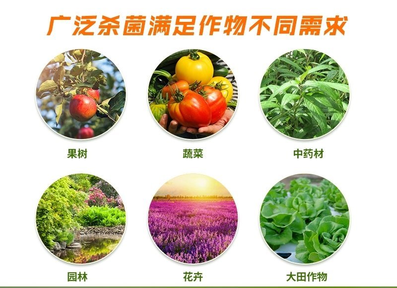 芒果角斑病柑橘溃疡病桃树穿孔病炭疽病疮痂病靓果安