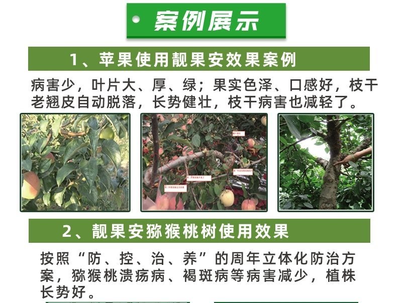 芒果角斑病柑橘溃疡病桃树穿孔病炭疽病疮痂病靓果安