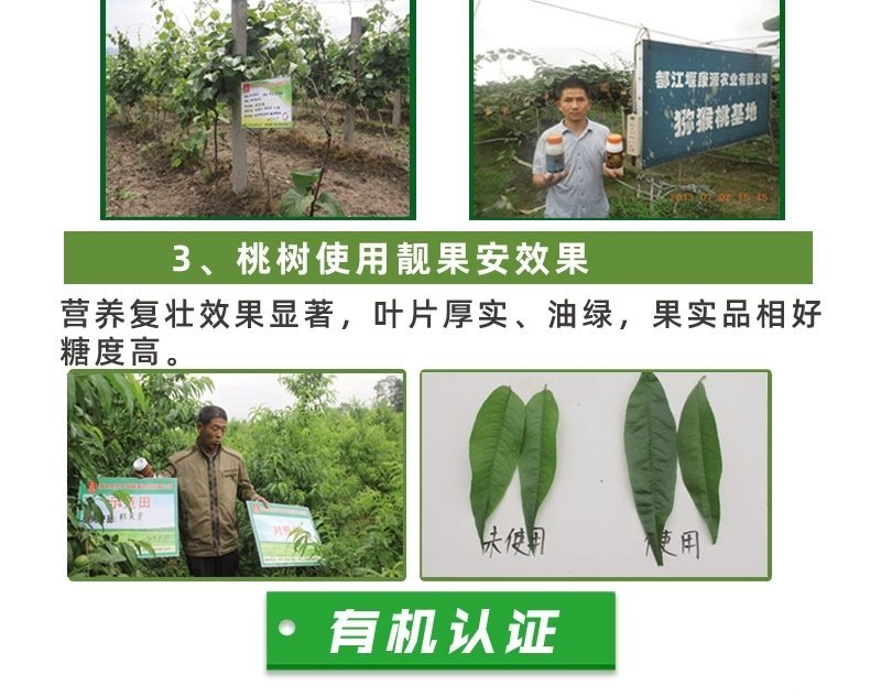 芒果角斑病柑橘溃疡病桃树穿孔病炭疽病疮痂病靓果安