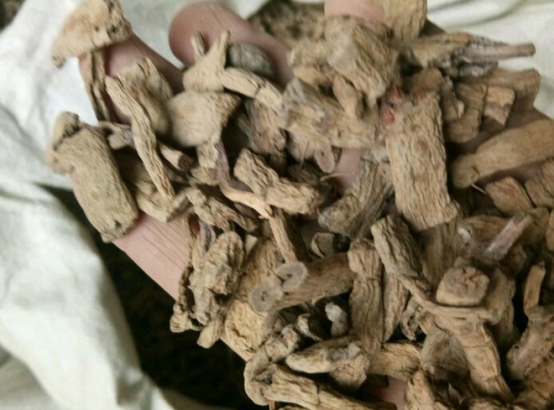 巴戟天无硫无添加不抽芯泡酒煲汤一公斤起