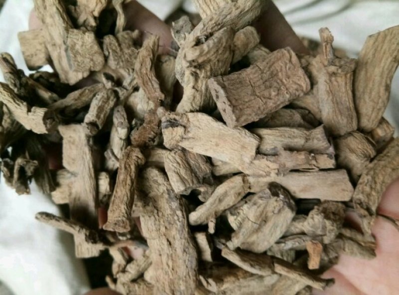 巴戟天无硫无添加不抽芯泡酒煲汤一公斤起