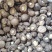 干香菇3-4厘米黄金点精选香菇量大从优欢迎订购