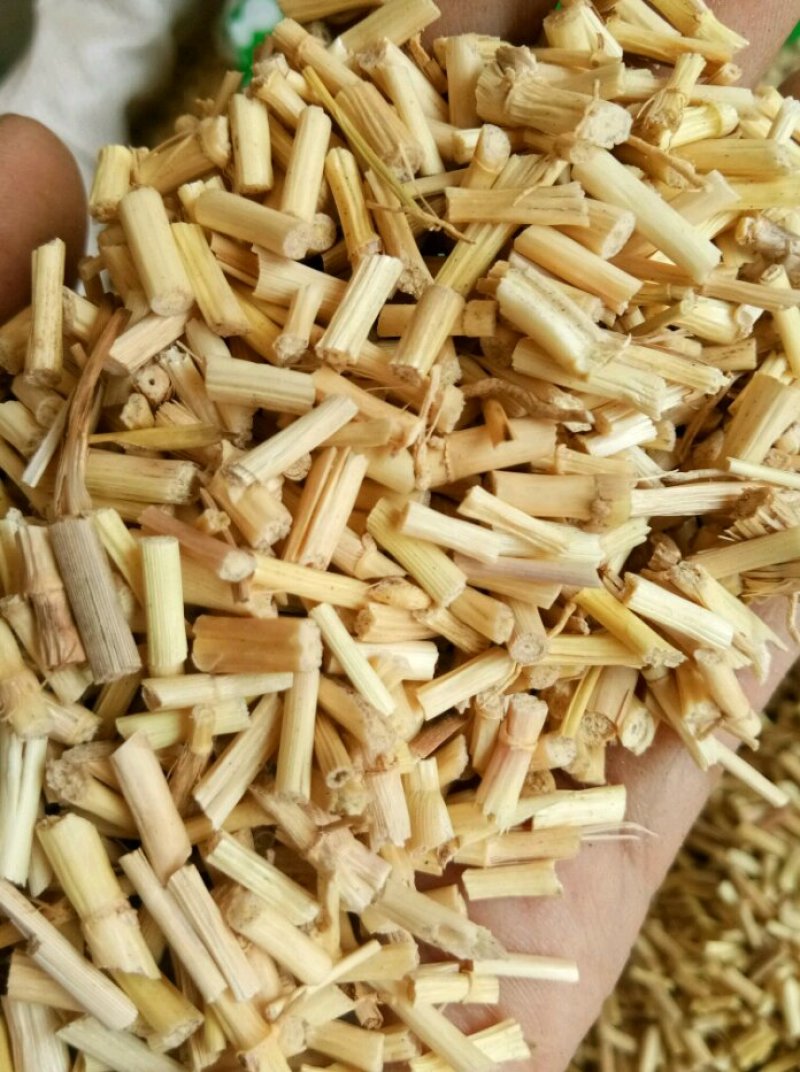 白茅根野生无硫干品白毛根甜草根坚草根一公斤起发货