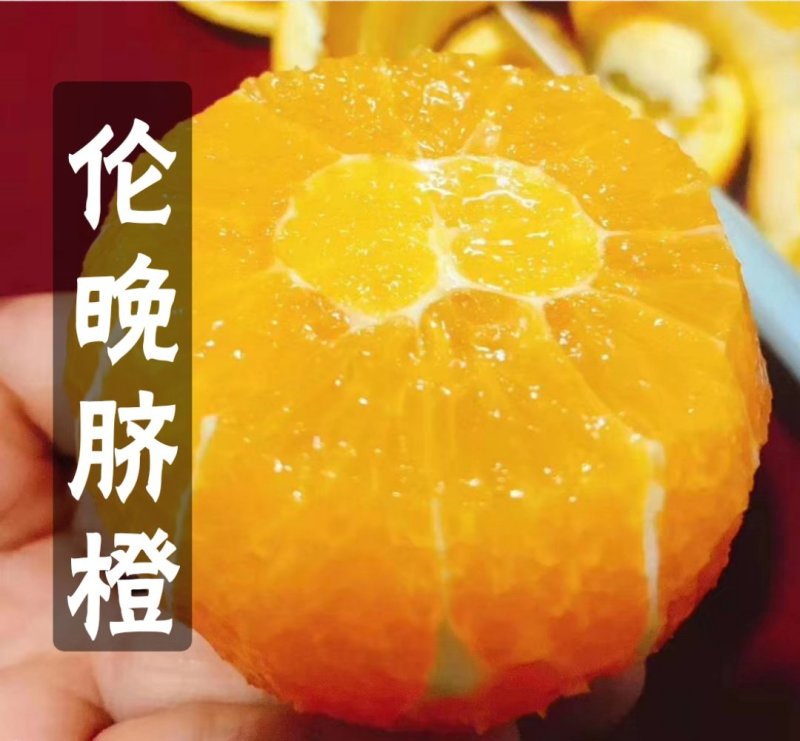 🅰伦晚脐橙纯甜入口化渣可视频看货产地直销