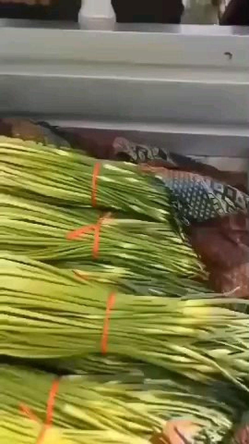 白帽蒜薹大量上市，产地直供，全国代发222222233