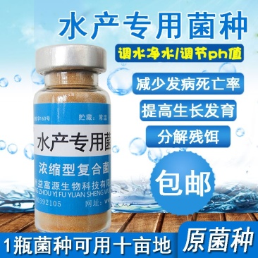 水产养殖专用净化改善水质植物消毒澡类增多养鱼虾蟹