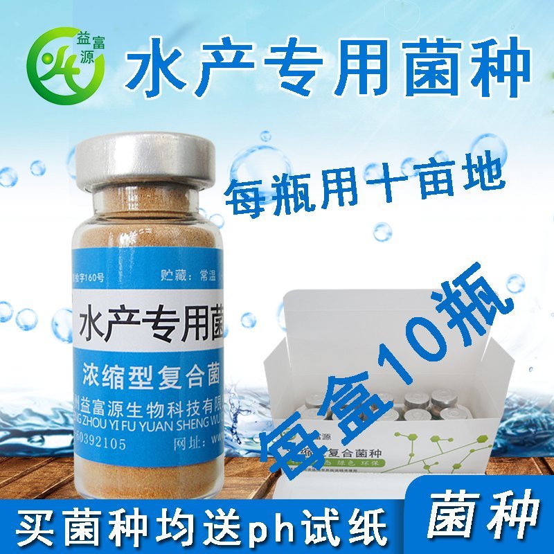 水产养殖专用净化改善水质植物消毒澡类增多养鱼虾蟹
