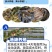 水产养殖专用净化改善水质植物消毒澡类增多养鱼虾蟹