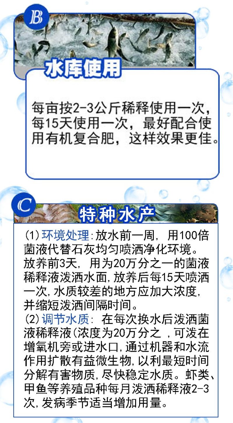 水产养殖专用净化改善水质植物消毒澡类增多养鱼虾蟹