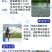 水产养殖专用净化改善水质植物消毒澡类增多养鱼虾蟹