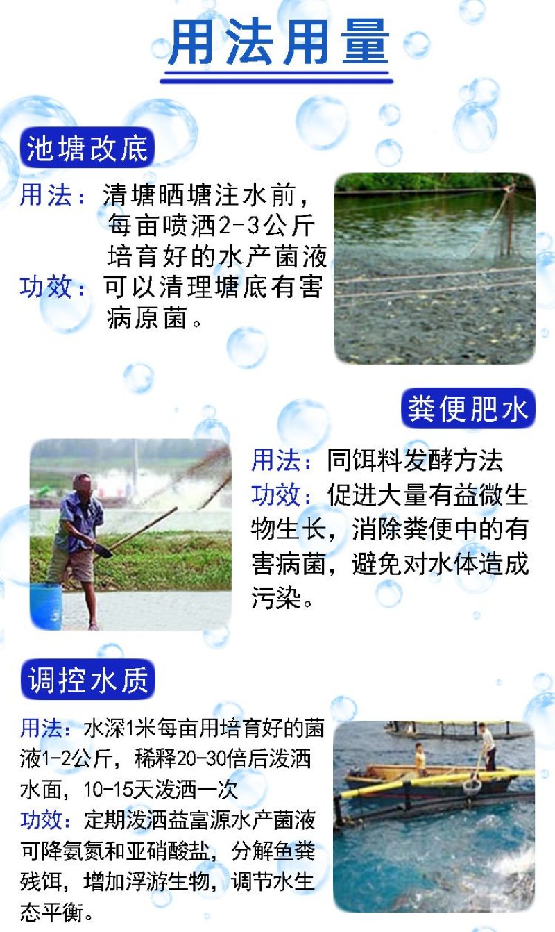 水产养殖专用净化改善水质植物消毒澡类增多养鱼虾蟹