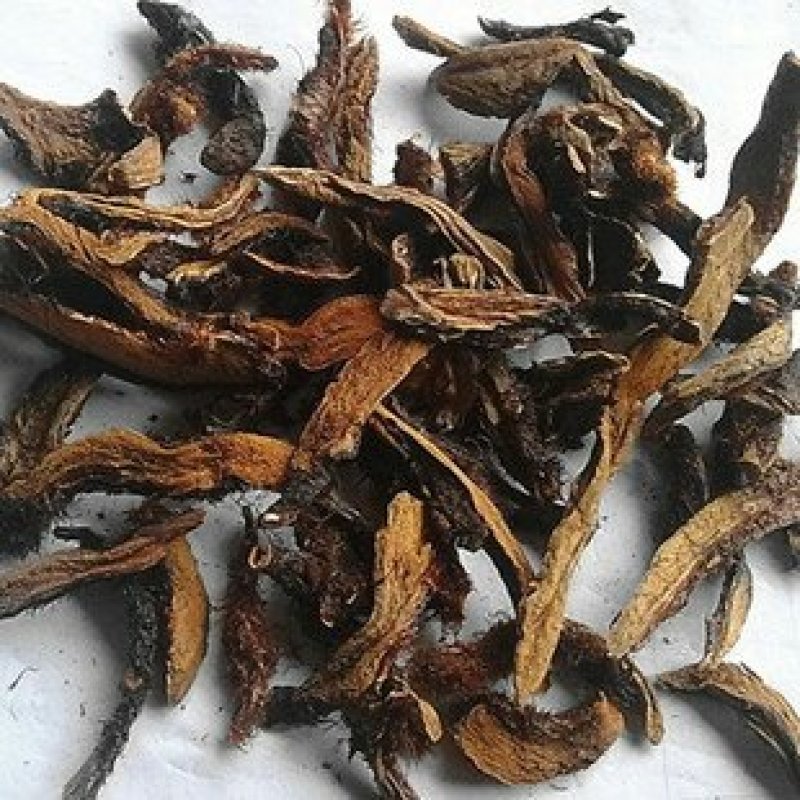 骨碎补，常年批发供应，中药材骨碎补