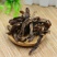 骨碎补，常年批发供应，中药材骨碎补