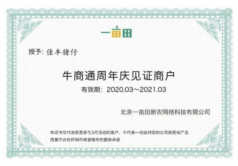 米玛斯种鸽鸽子种鸽10只包邮包成活货源充足