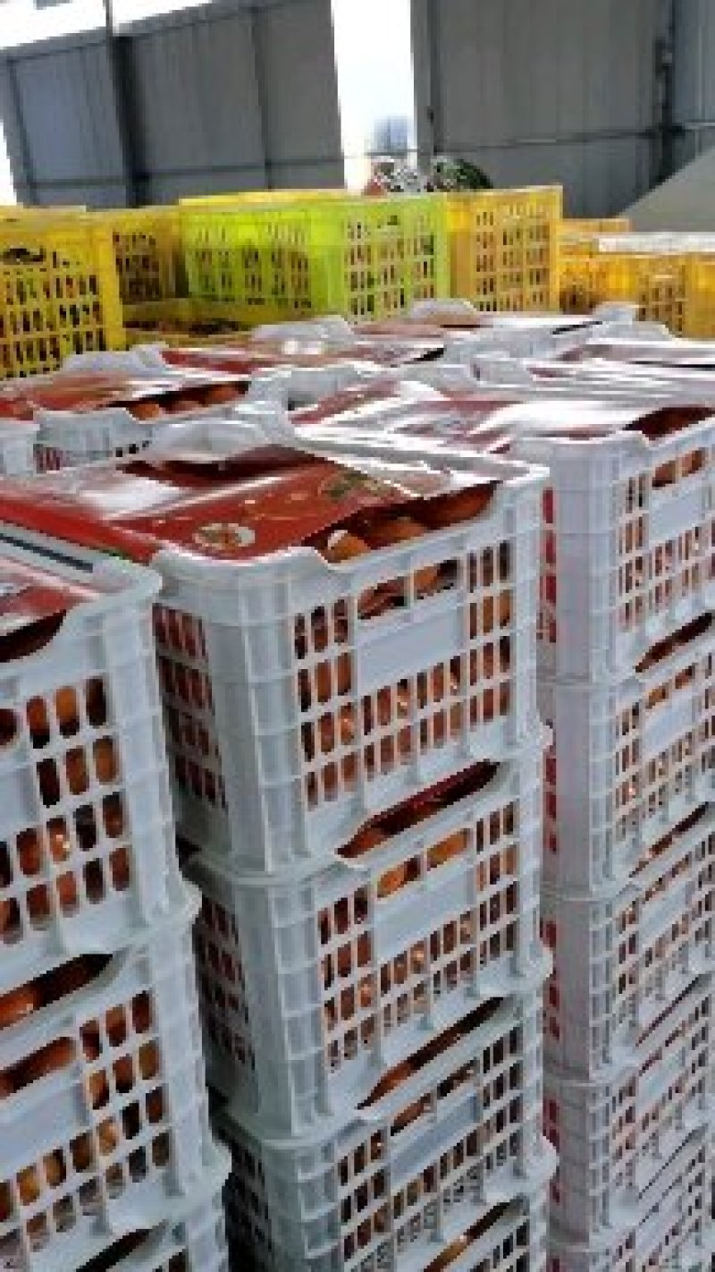塑料水果筐，高品质一次性水果筐，