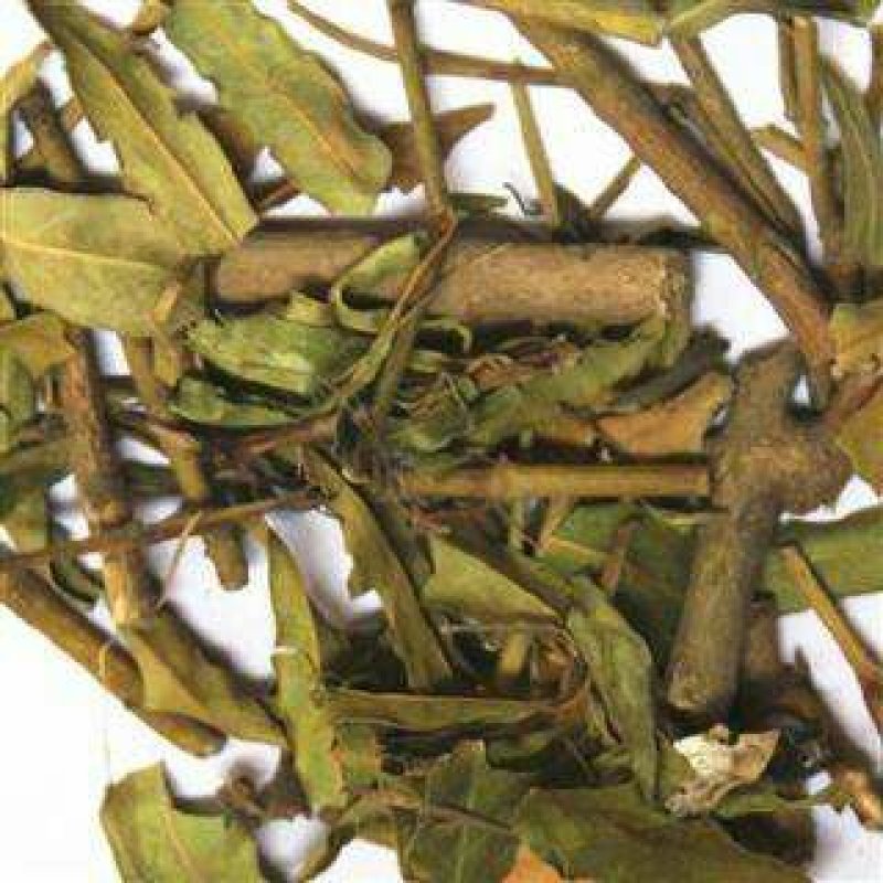 小驳骨，常年批发供应冷背中草药，小驳骨