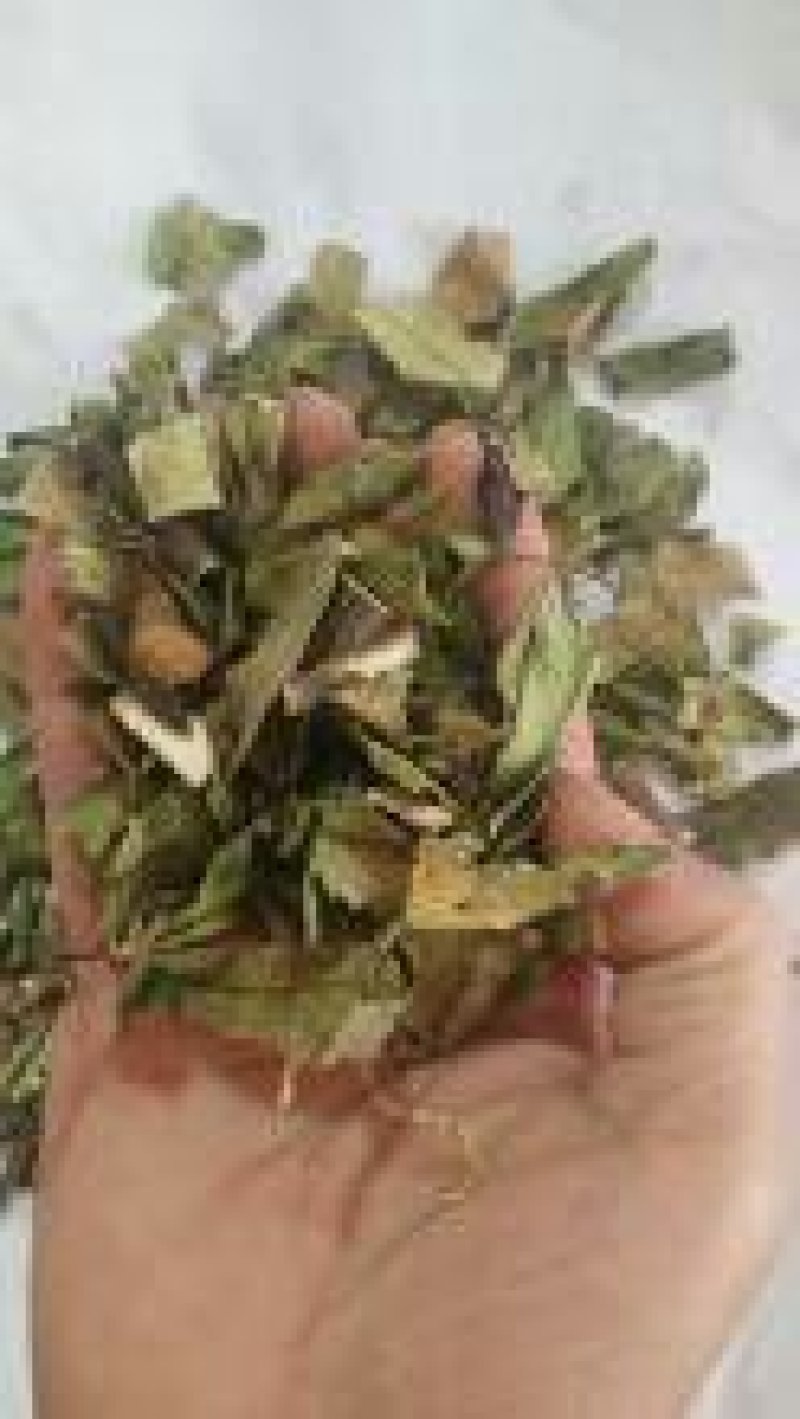 小驳骨，常年批发供应冷背中草药，小驳骨