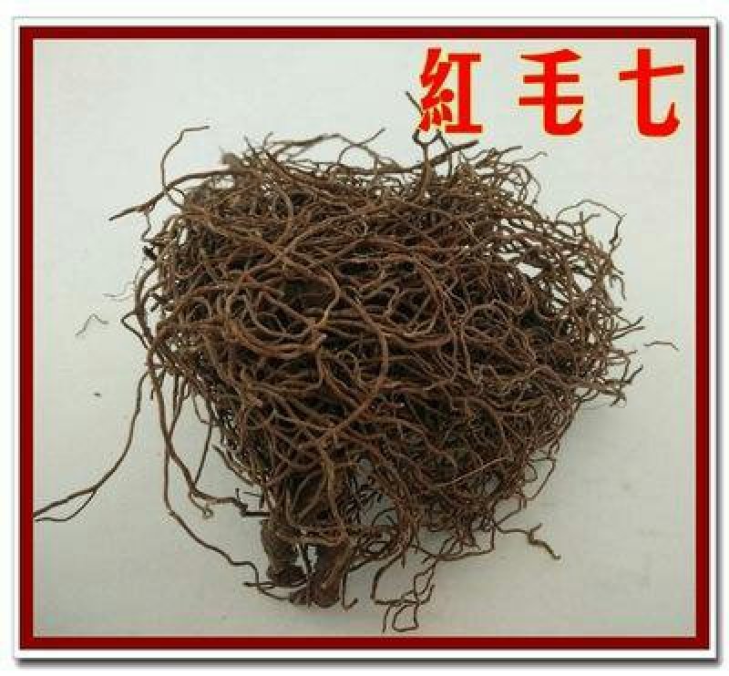 红毛七，常年批发供应冷背中药材，红毛七，金丝七