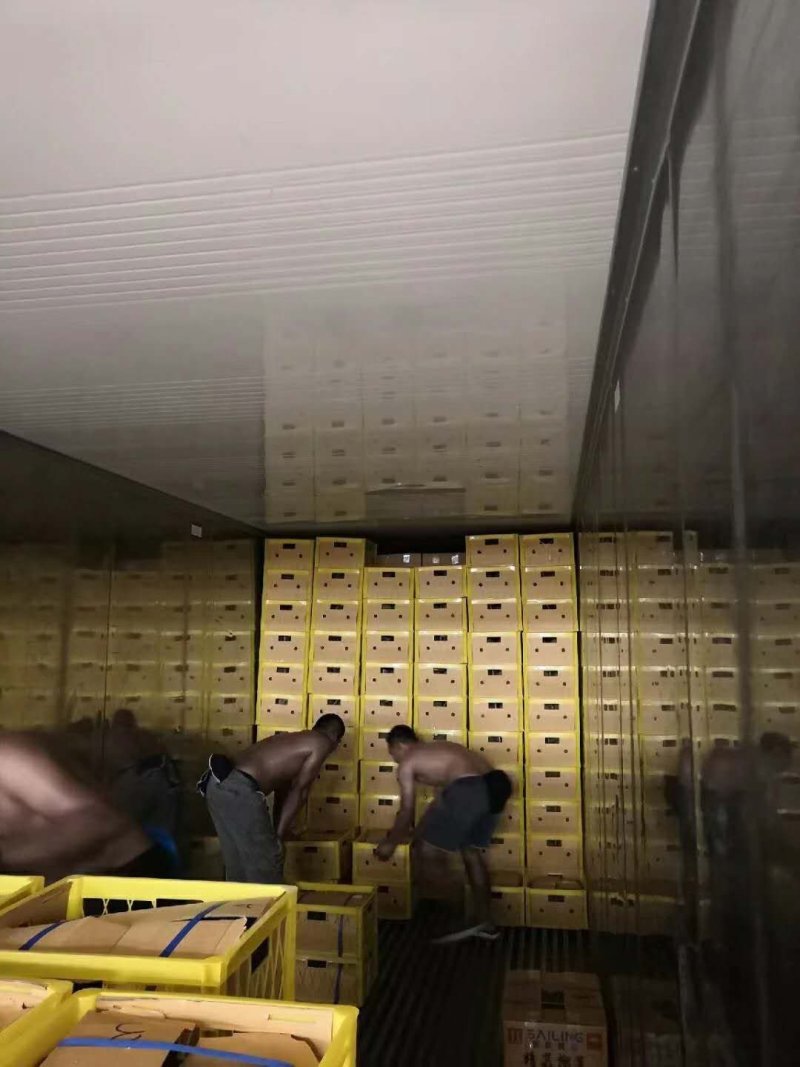 泰国榴莲托曼尼
