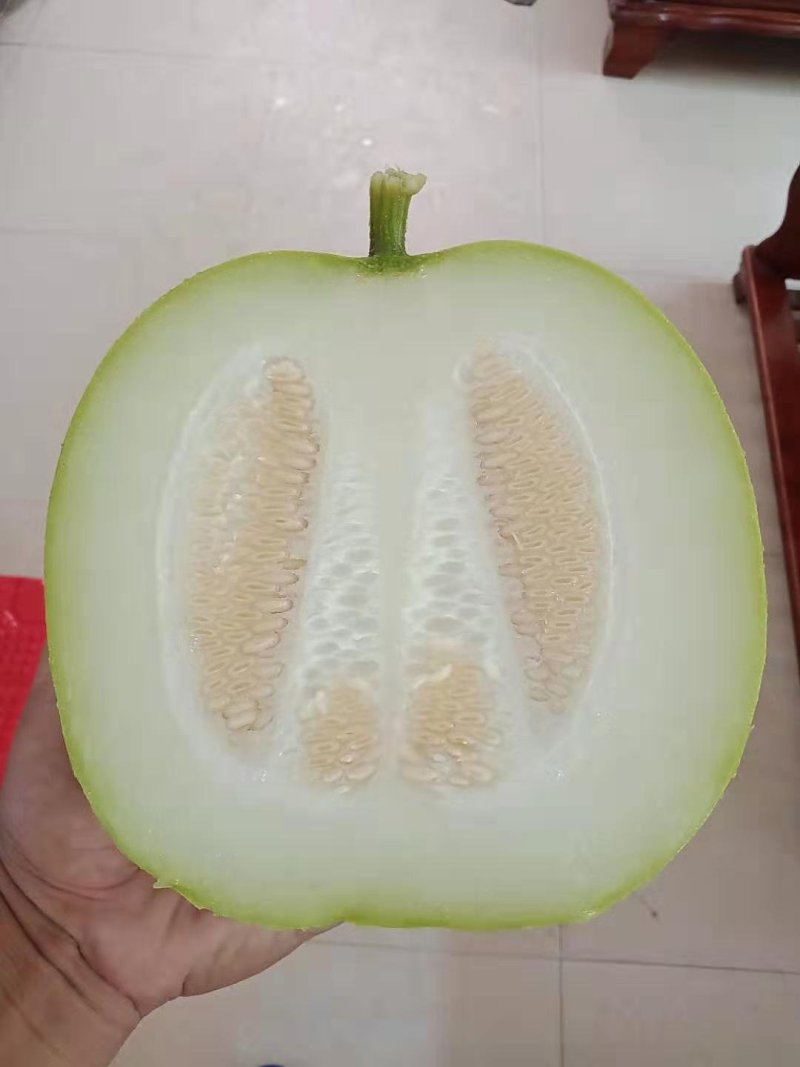 麒麟冬瓜种子非香芋味清甜纯正冬瓜味