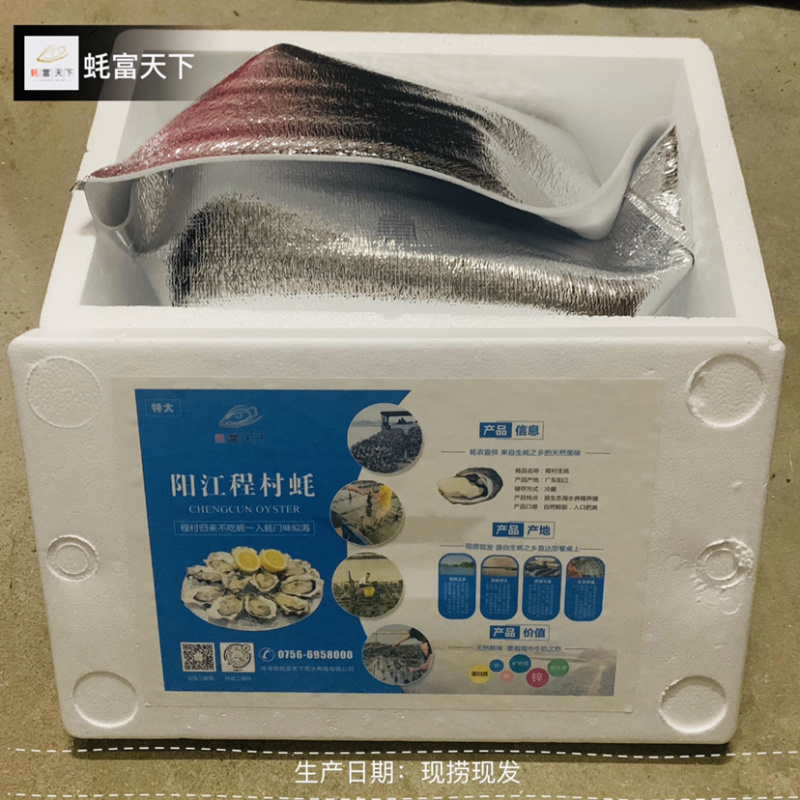 阳江程村肥蚝,净重8斤含冰10斤,烧烤批发价优,次日达
