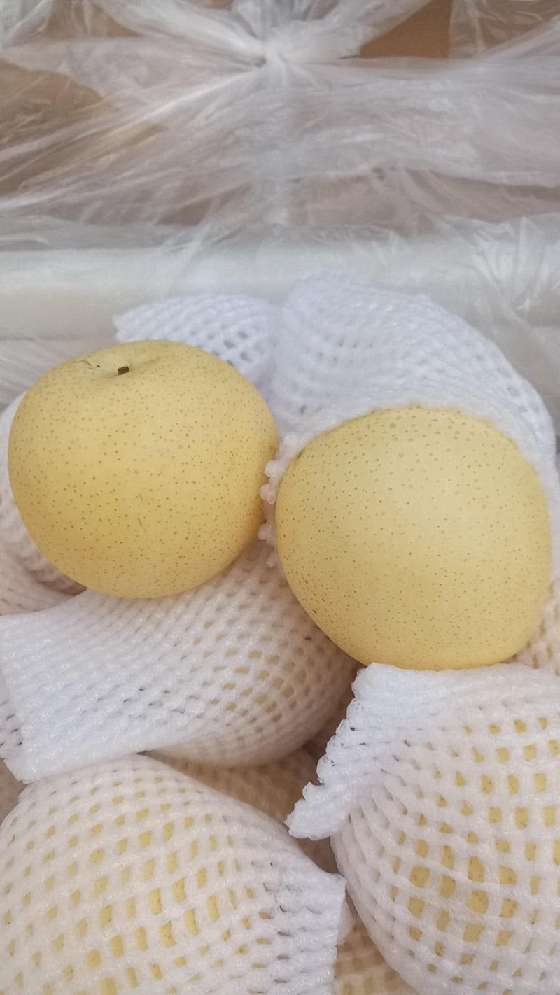 【白皇冠】精品皇冠梨，安徽砀山，可对接电商平台，拼多多，